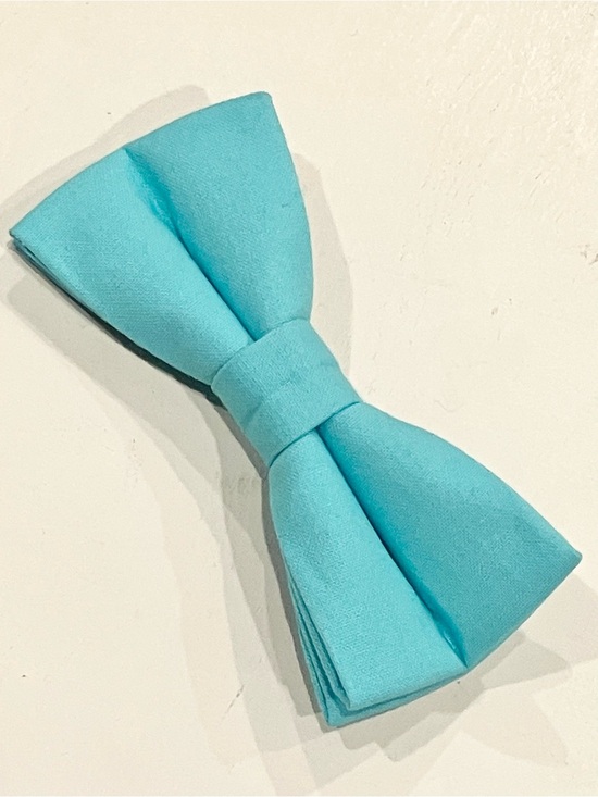 Hand Crafted Other - Pet Bowtie in Light Blue